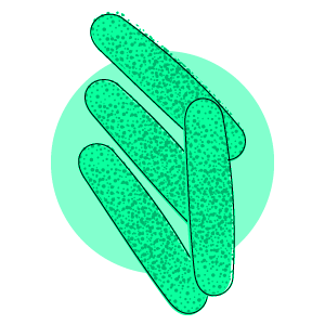 Clostridium beijerinckii DY20