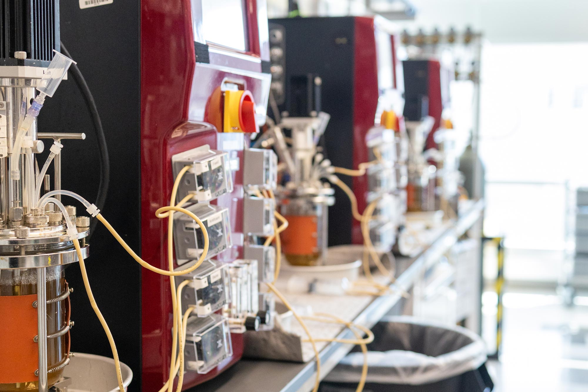 Native Microbials 10