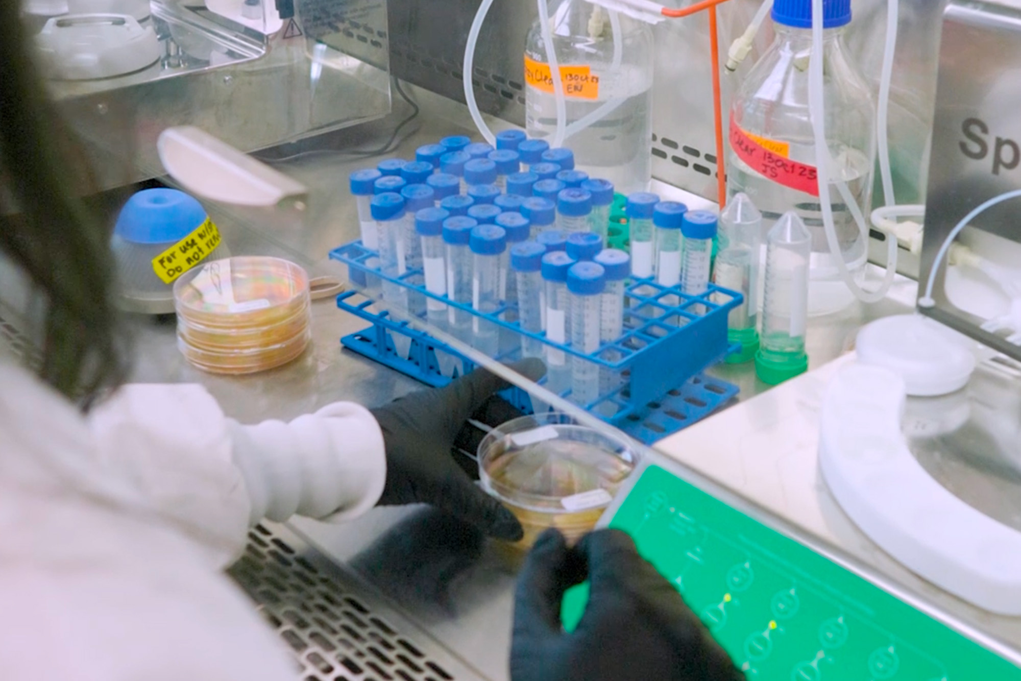 Native Microbials 12