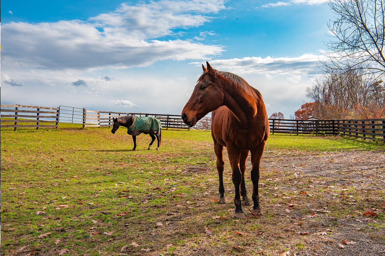 Native Microbials Products